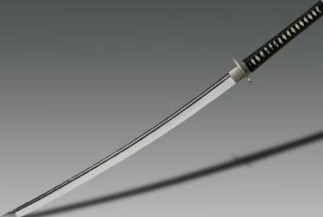 "Punta aguda, doble filo y largo considerable", la descripción en la autopsia de la katana homicida | Actualidad