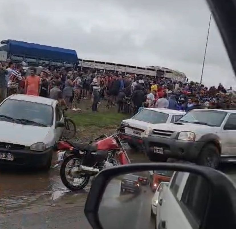 Río Cuarto: volcó un camión que transportaba animales y vecinos faenaron un animal | Córdoba