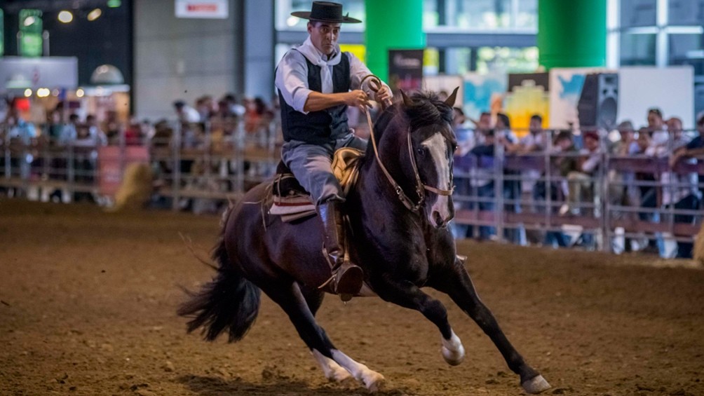 Un grupo de activistas veganos interrumpió una exhibición de caballos en La Rural | Actualidad