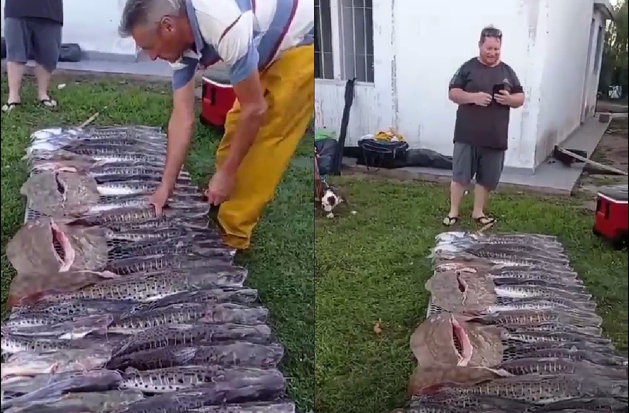 Dos cordobeses deberán pagar una multa por violar la ley de pesca de Santa Fe | Córdoba