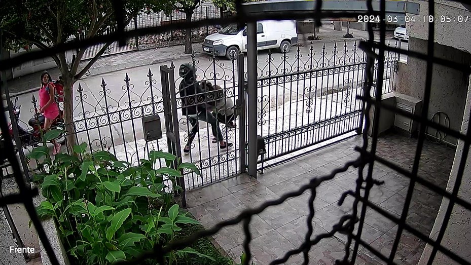 La ladrona embarazada y su pareja enfrentaban un juicio previo por robo | Córdoba