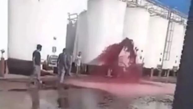 Mendoza: por un insólito error en una bodega, se perdieron 15.000 litros de vino | Actualidad