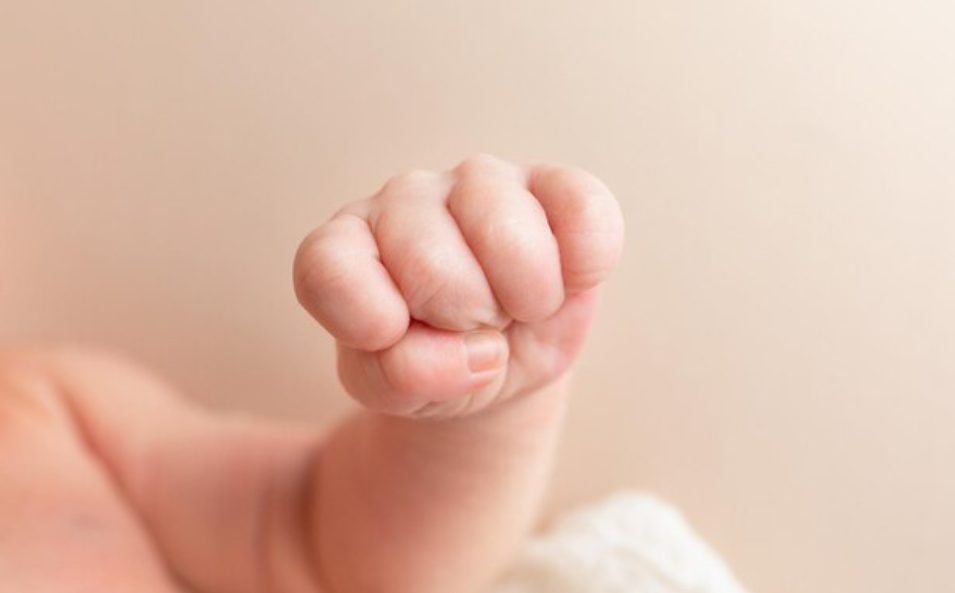 Hallaron un bebé de 10 días dentro de un contenedor de basura en Santiago del Estero | Actualidad