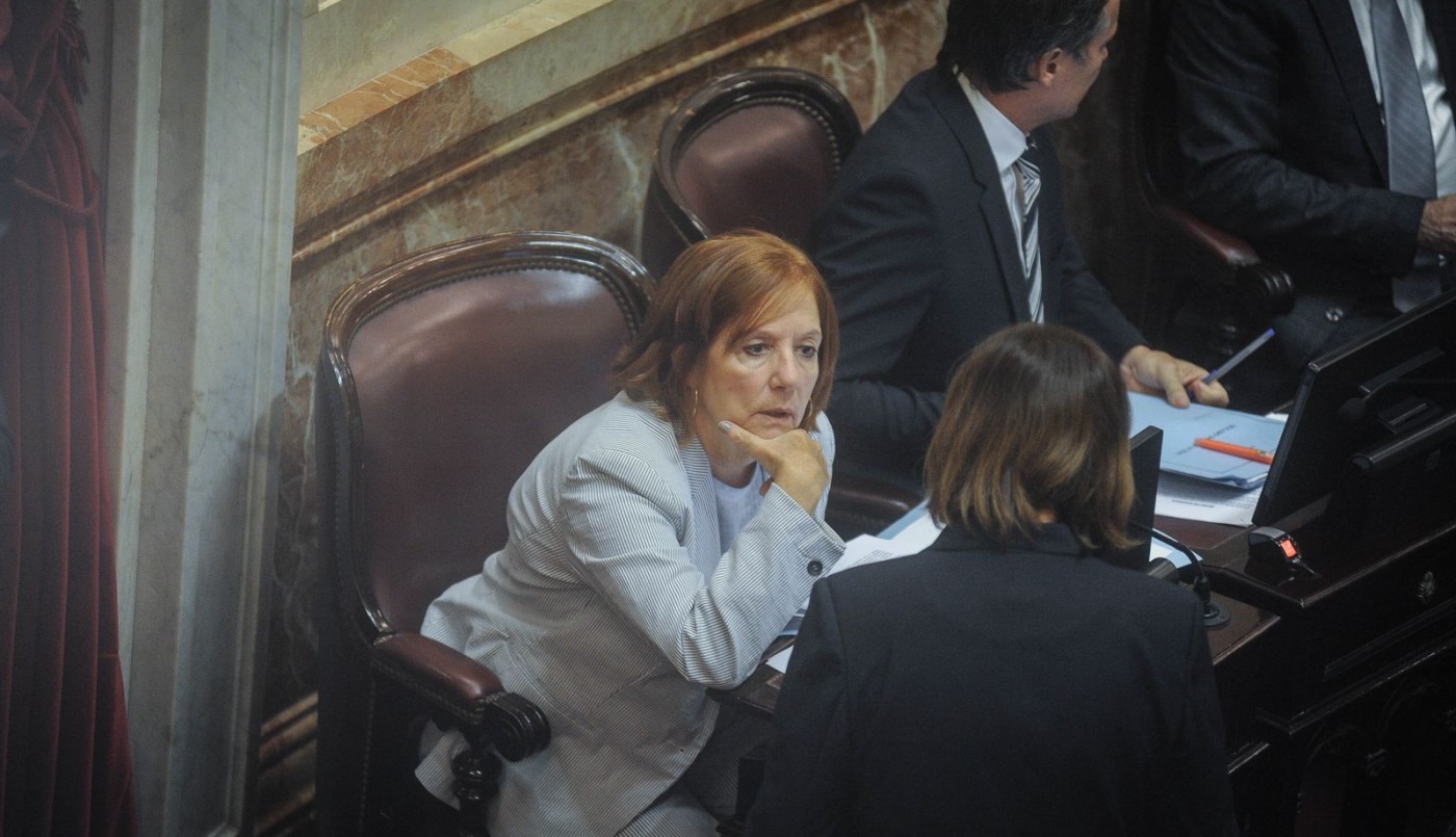 Alejandra Vigo adelantó la abstención en la votación del DNU por considerar "irracional aprobarlo a libro cerrado" | Política y economía