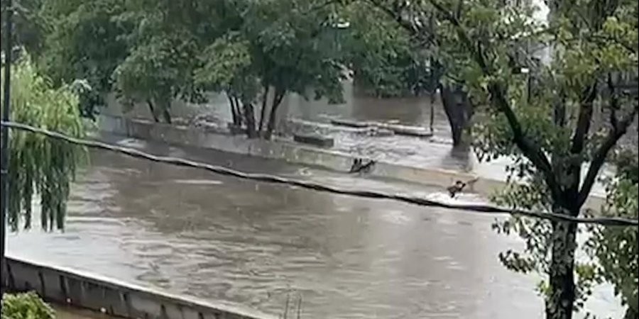 Buscan a un adolescente de 17 años que desapareció en medio de la tormenta | Actualidad