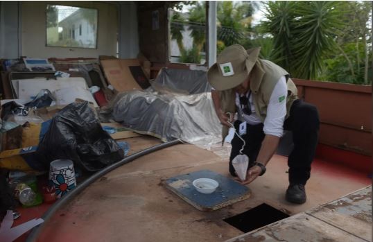 Dengue: Los niños más pequeños son las principales víctimas en Brasil | Internacionales