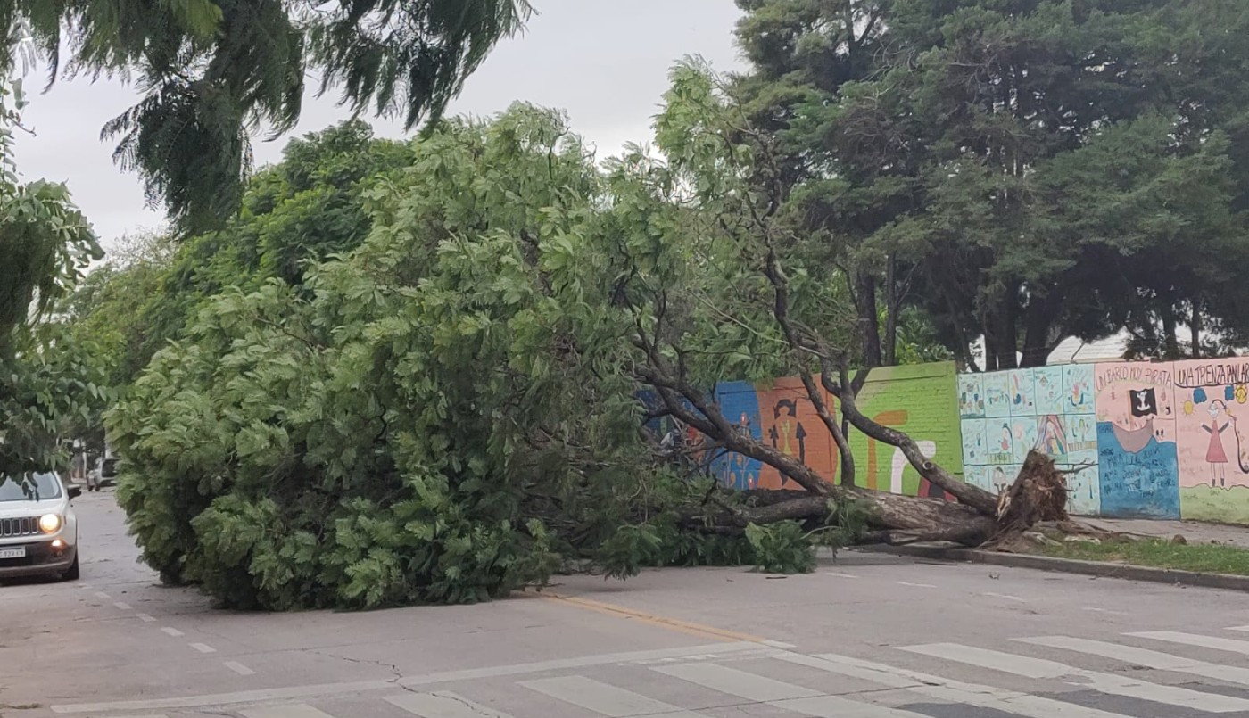 Cambio radical en el clima de Córdoba: viento sur y lluvias intensas | Córdoba