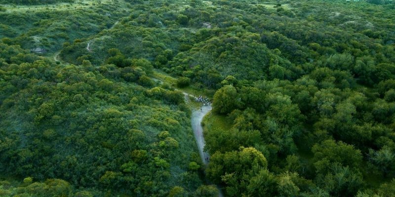 Reserva Urbana San Martín: un paseo por bosques nativos a minutos del centro de la ciudad | Córdoba