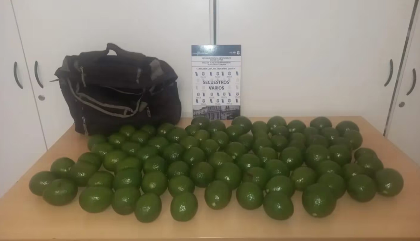 La Plata: detuvieron a tres jóvenes por robar paltas de un hotel alojamiento | Actualidad