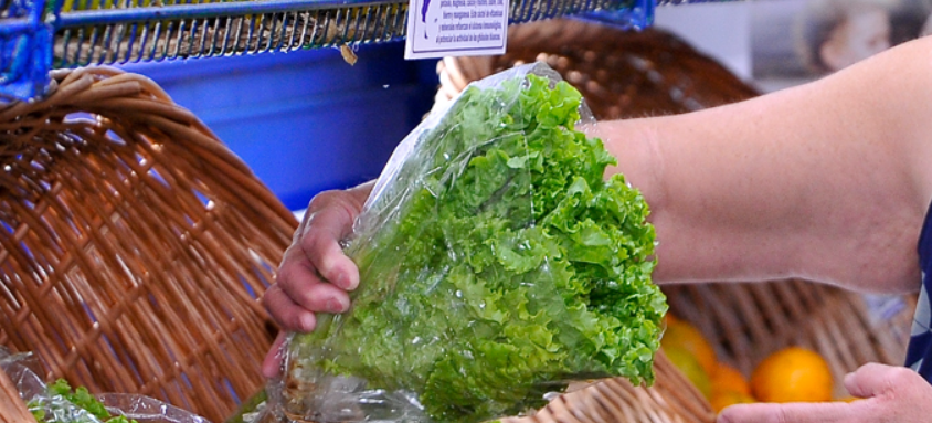 Por qué aumentó tanto la lechuga: ya cuesta más que el asado | Actualidad