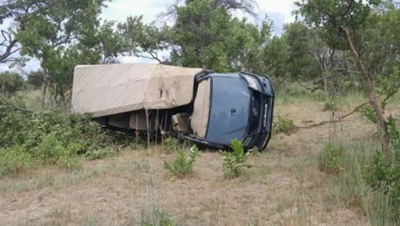 Tragedia en un safari: un elefante atacó a un grupo de turistas y mató a una mujer de 80 años en Zambia | Internacionales