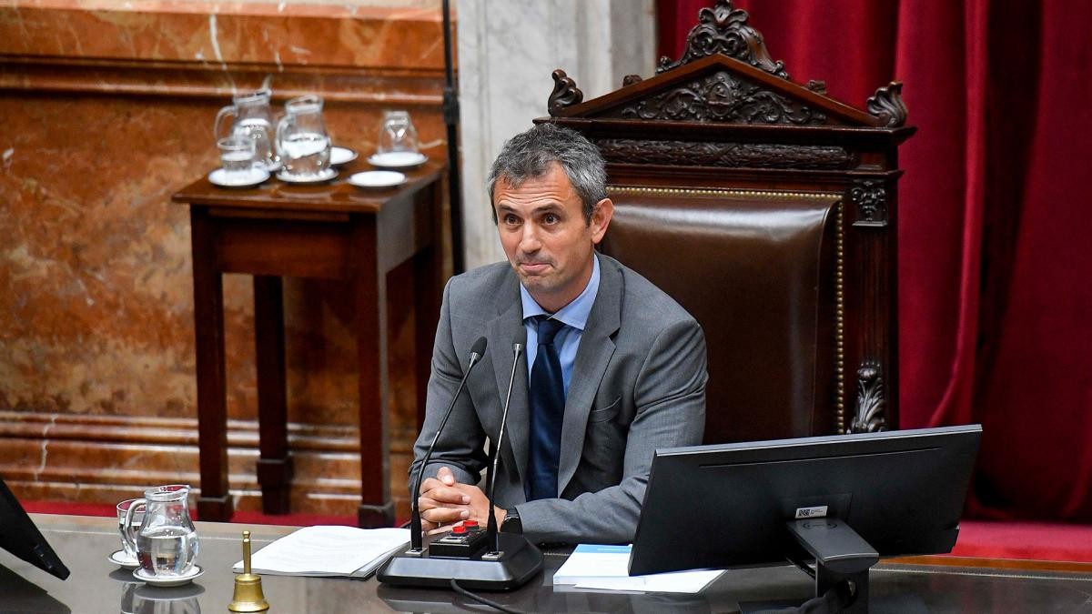 El gobierno respalda a Martín Menem en la interna legislativa y Pagano busca asesoría legal | Política y economía