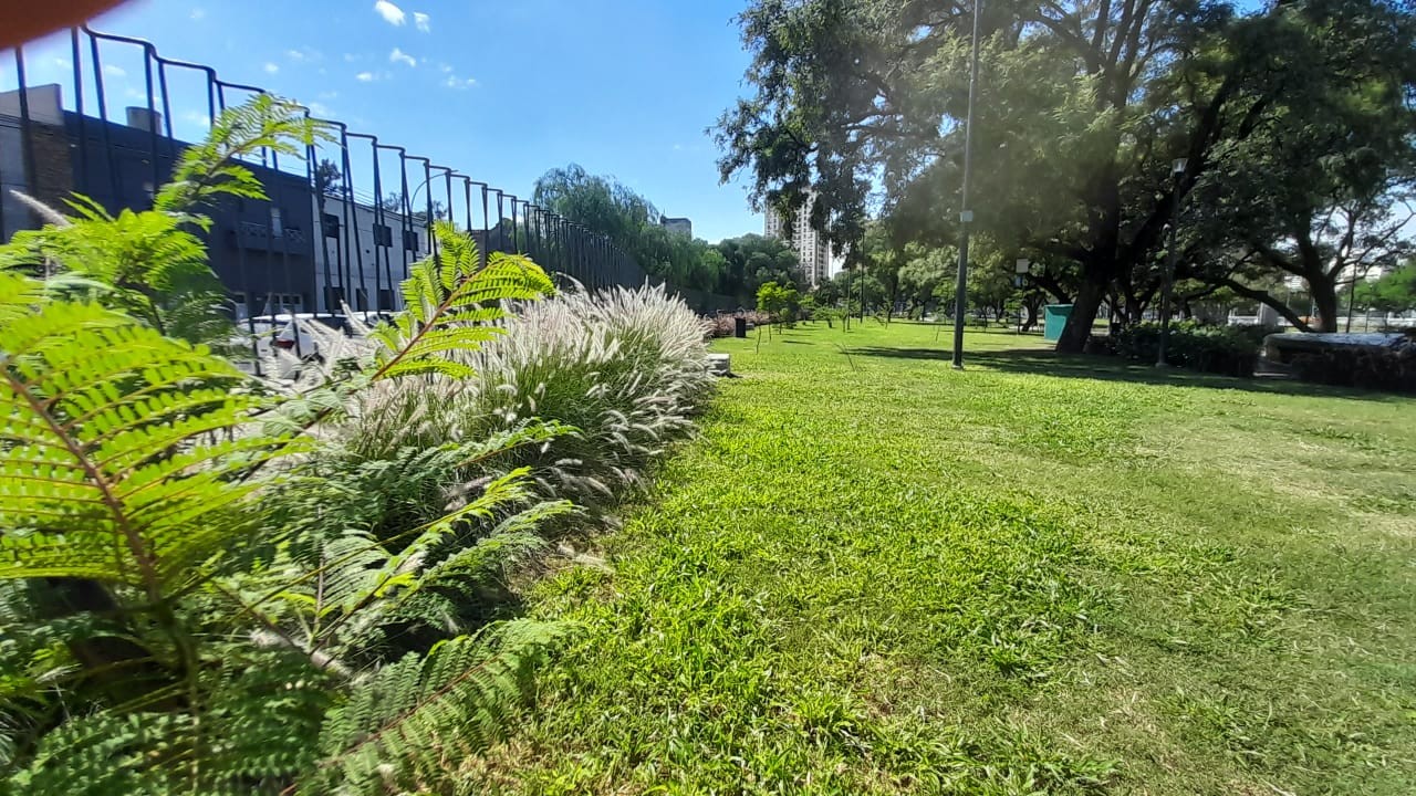 Después de varios días, vuelve a salir el sol en Córdoba | Córdoba