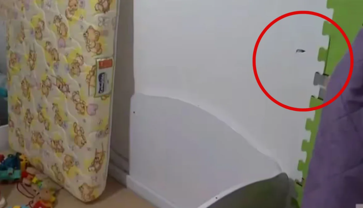 Video: una bala impactó a centímetros de donde dormía un bebé en un departamento | Internacionales