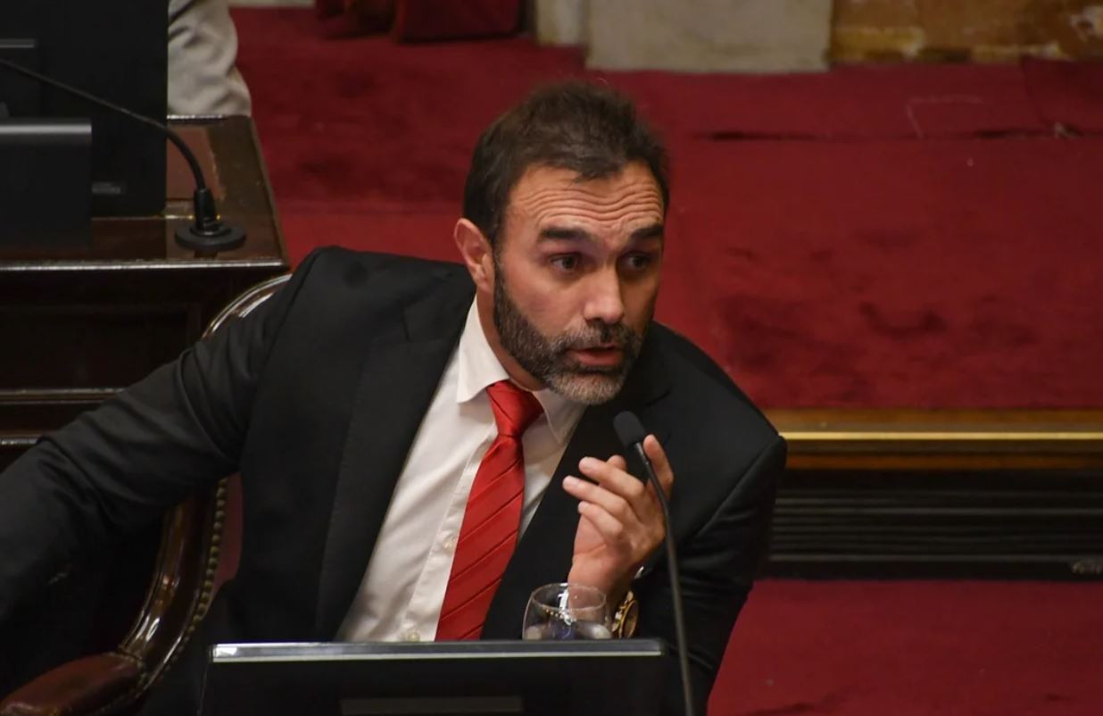 "El Presidente sabía que se iba a votar esto", dijo el jefe de LLA en el Senado | Política y economía