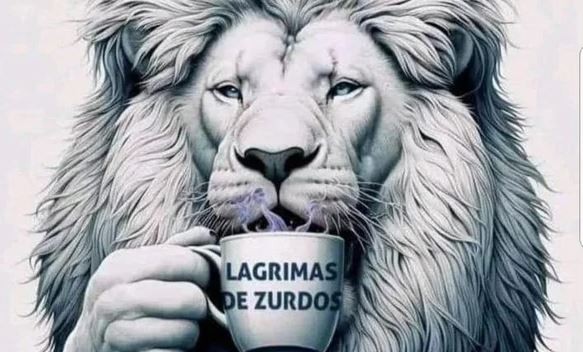 La desafiante reacción de Javier Milei a la marcha universitaria | Política y economía