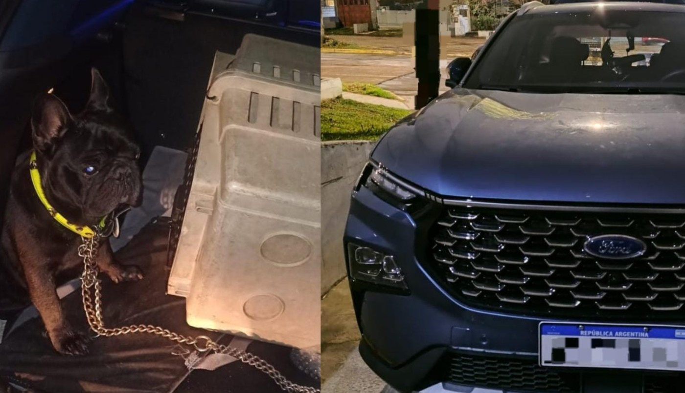 Se llevaron hasta el perro: cuatro detenidos por robo de vehículo en Córdoba | Córdoba