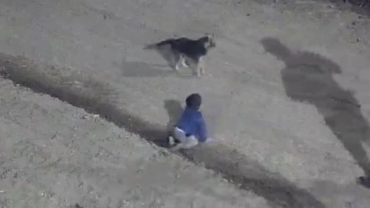 Video: policías rescataron a un bebe que gateaba solo en la calle | Córdoba