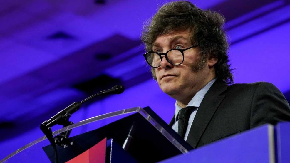 Milei acerca de la Ley de Bases: "La ley más tarde o más temprano va a salir” | Política y economía