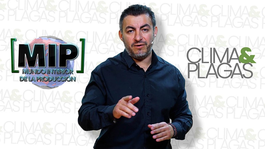 ¿Está vinculado el cambio climatico con la aparición de plagas? | MIP Mundo Interior