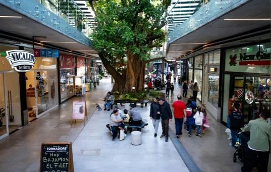 El consumo en la era Milei: ¿cómo cubre la clase media el poder adquisitivo perdido? | Actualidad