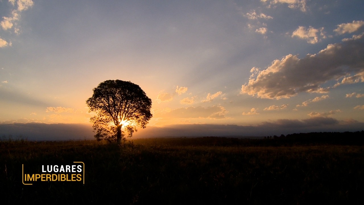 Un camino que mixtura la esencia serrana y centroeuropea en la imperdible Calamuchita | Lugares Imperdibles