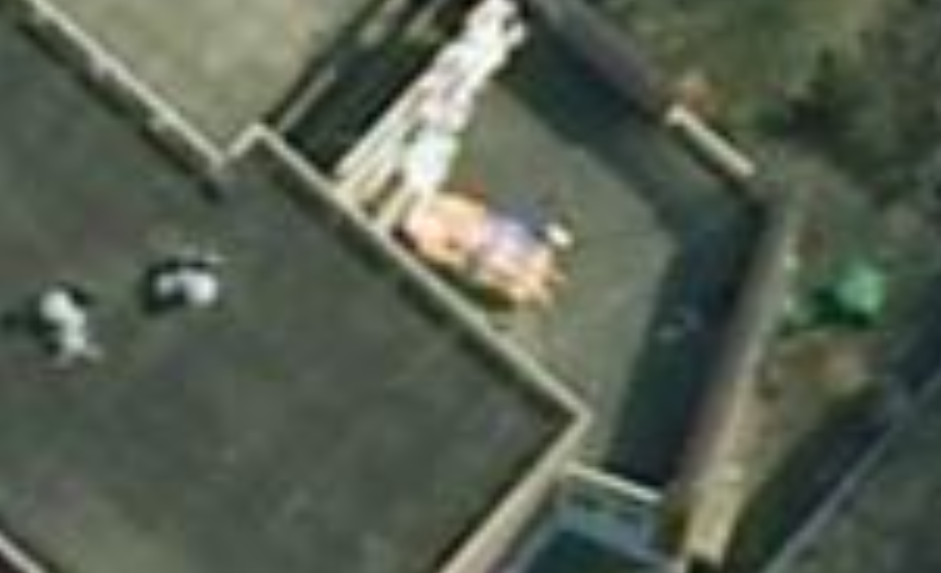 Estaba desnudo en el patio de su casa y lo captó una imagen de Google: la Justicia rechazó su demanda | Actualidad