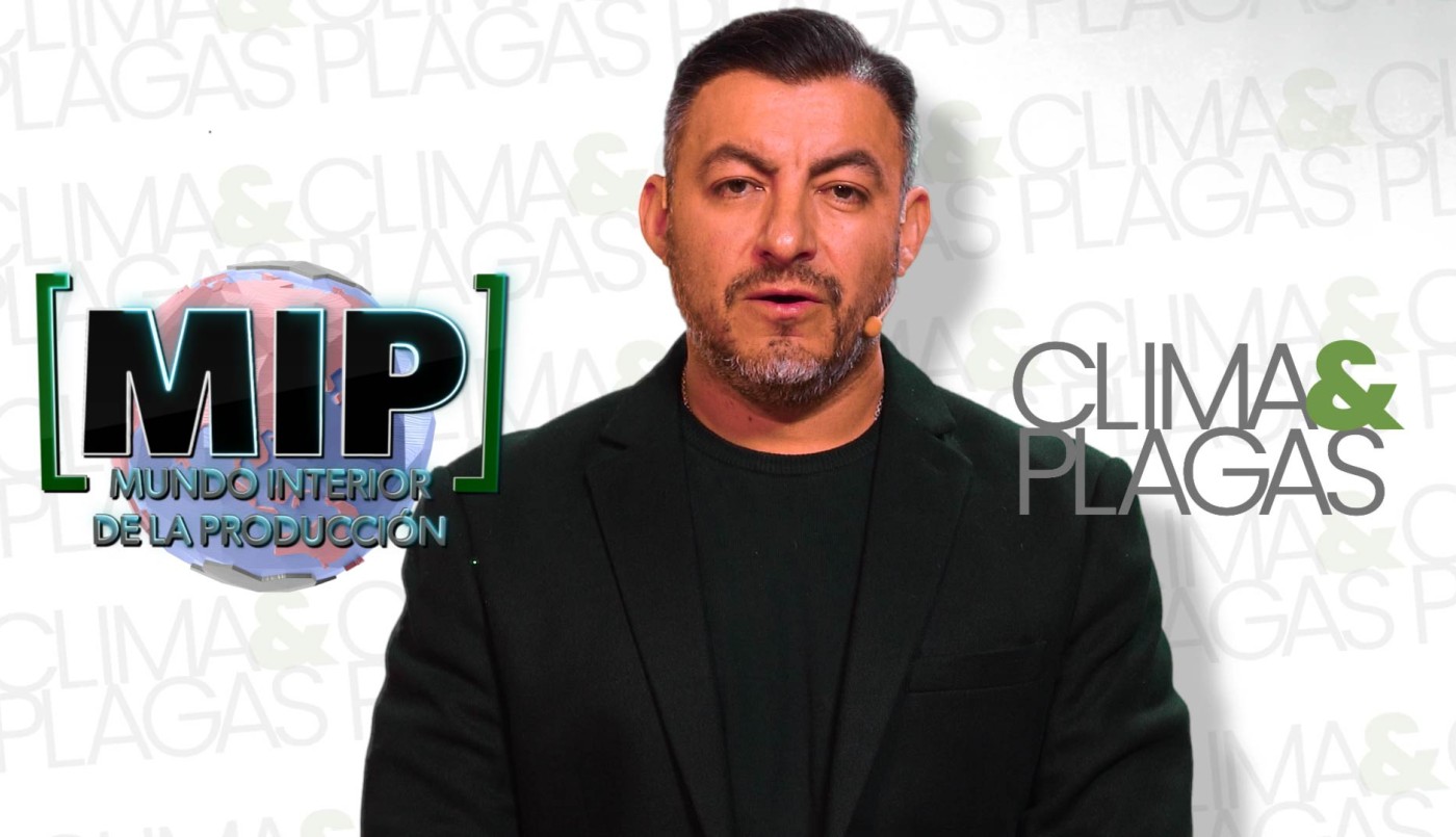 Pestes y desinfecciones | MIP Mundo Interior