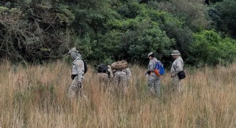 Por qué desaparecen los niños: un flagelo global que sacude a la Argentina y la región | Actualidad