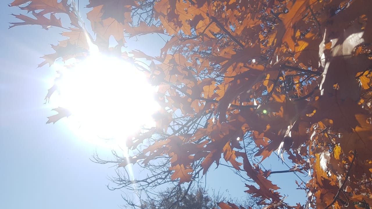 Domingo frío: mínima de 0° ¿Cuál es la máxima para hoy? | Córdoba