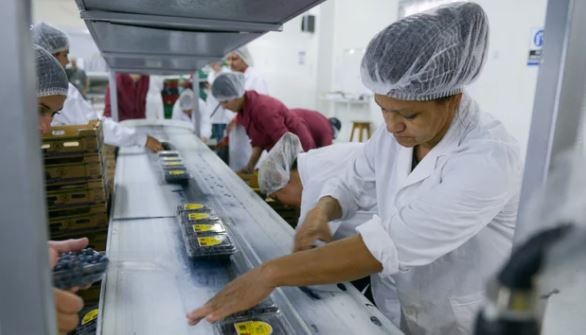 Empresarios pymes advierten "un segundo semestre del infierno" | Política y economía