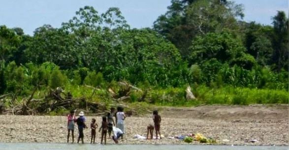 Perú: descubrieron una tribu indígena nunca vista anteriormente | Internacionales