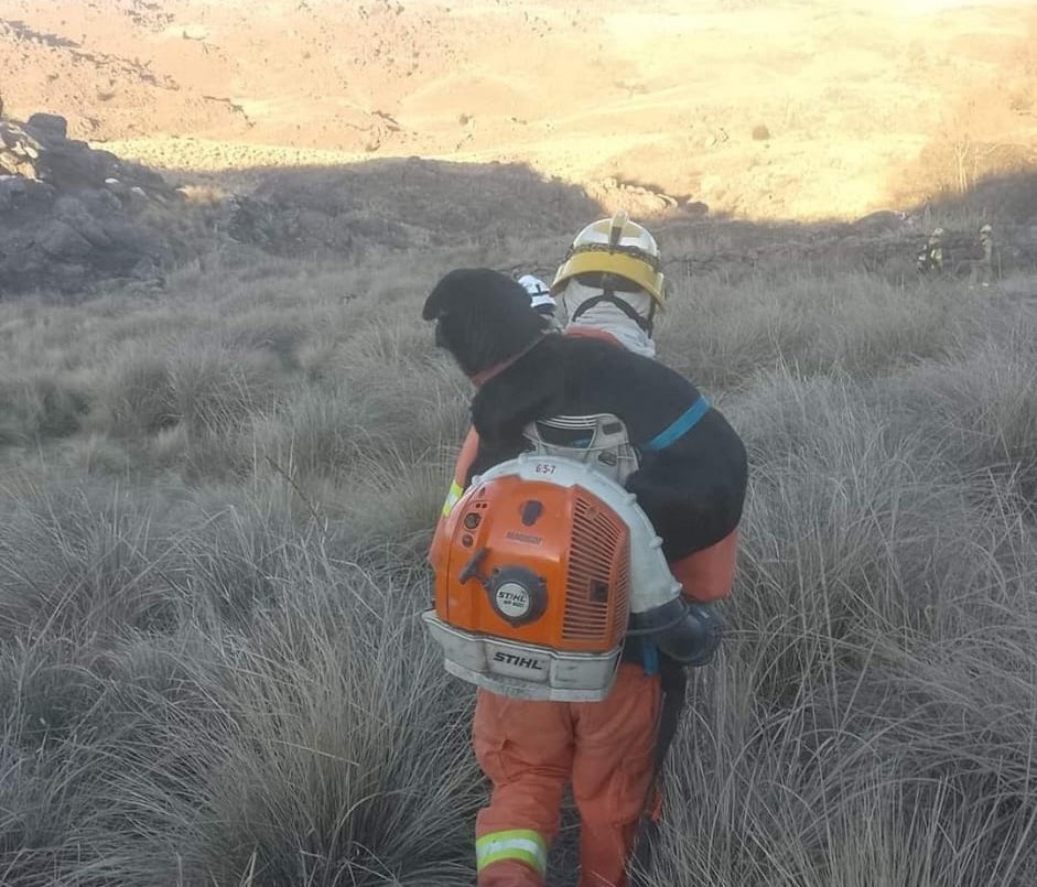 Heroico rescate de un bombero a un perrito atrapado en medio del incendio en Cerro Blanco | Córdoba