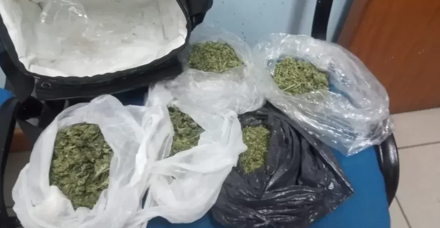 Viajaban en micro con marihuana y hongos alucinógenos para vender | Actualidad