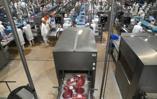 El Gobierno elimina derechos de exportación en productos agroindustriales | Política y economía