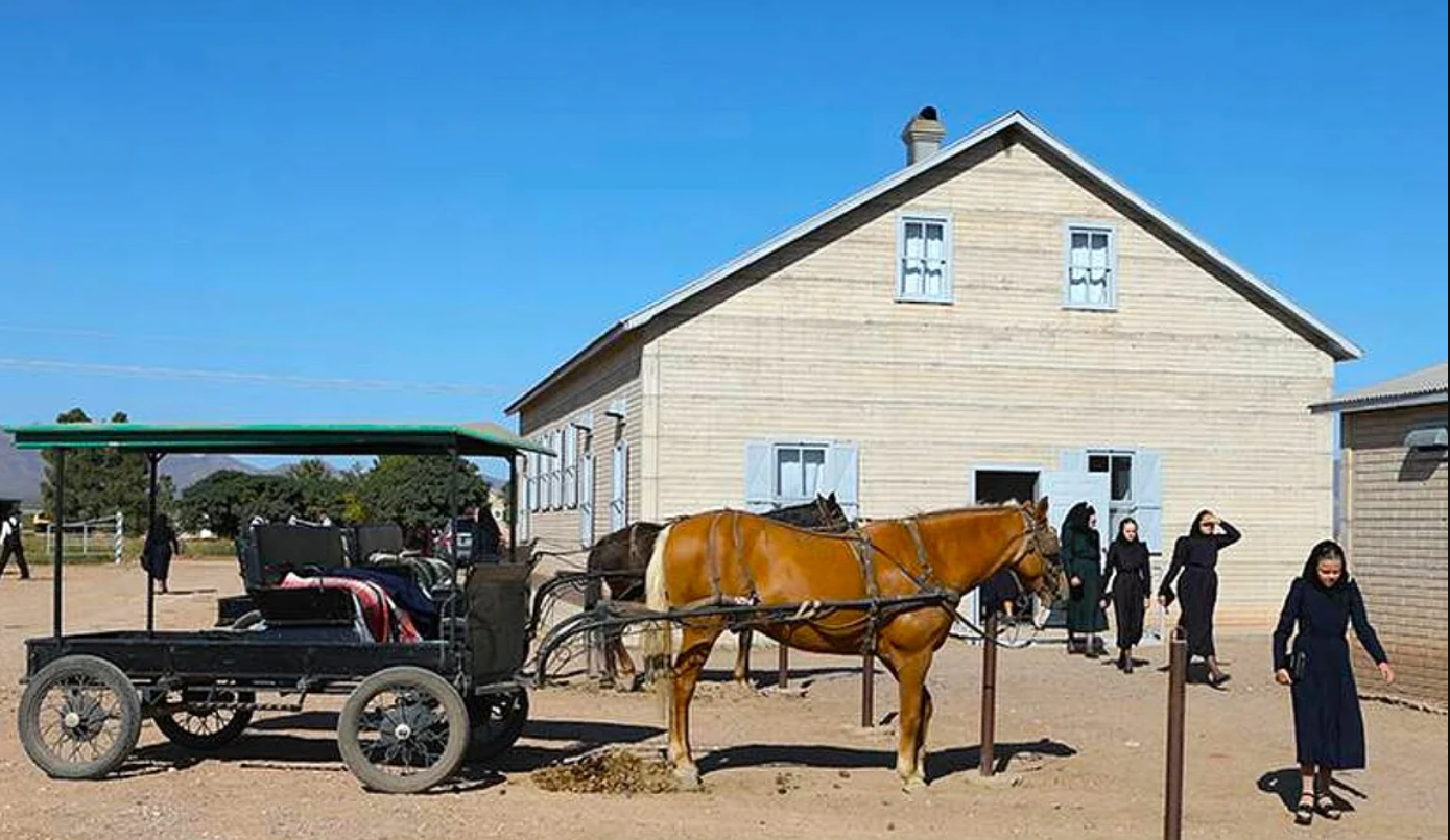 Menonitas en Argentina: sin luz ni celular y aislados del mundo en un tranquilo paraje | VIDEOS TFN CORDOBA
