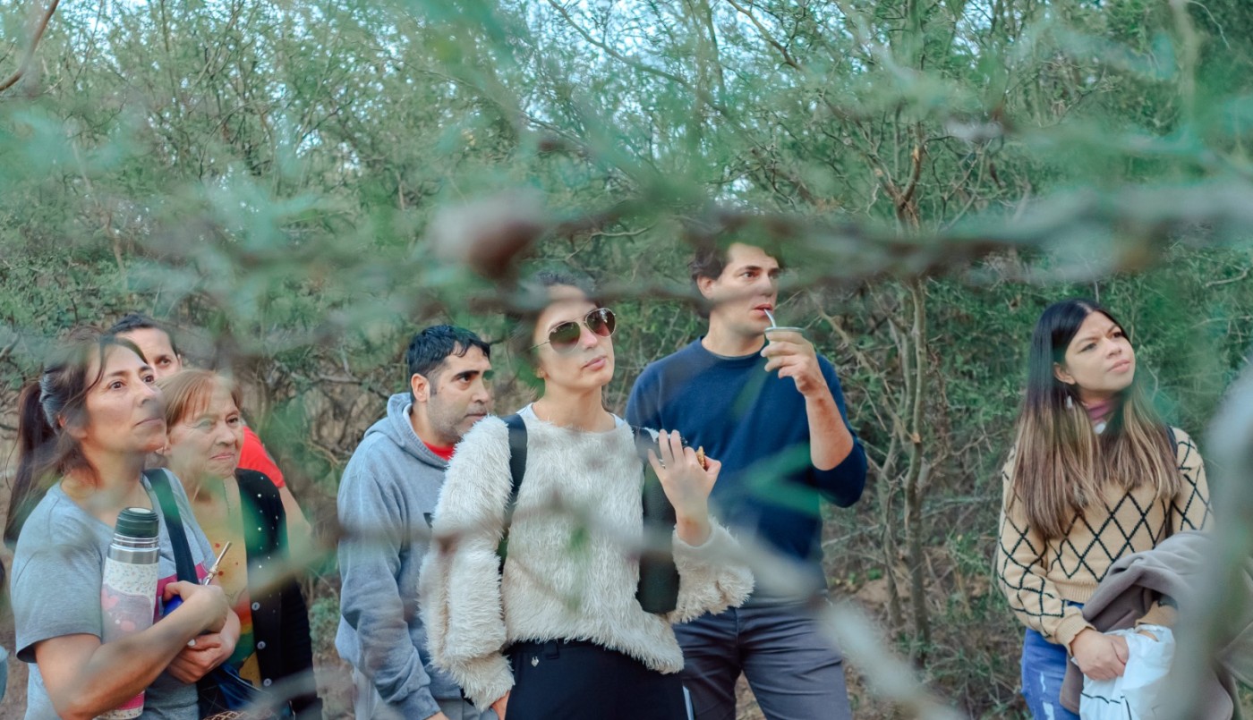 Semana del Árbol: webinars, forestaciones y festejo en el Jardín Botánico | Córdoba