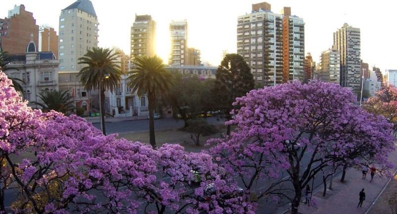 Tiempo en Córdoba: martes primaveral en la ciudad | Córdoba