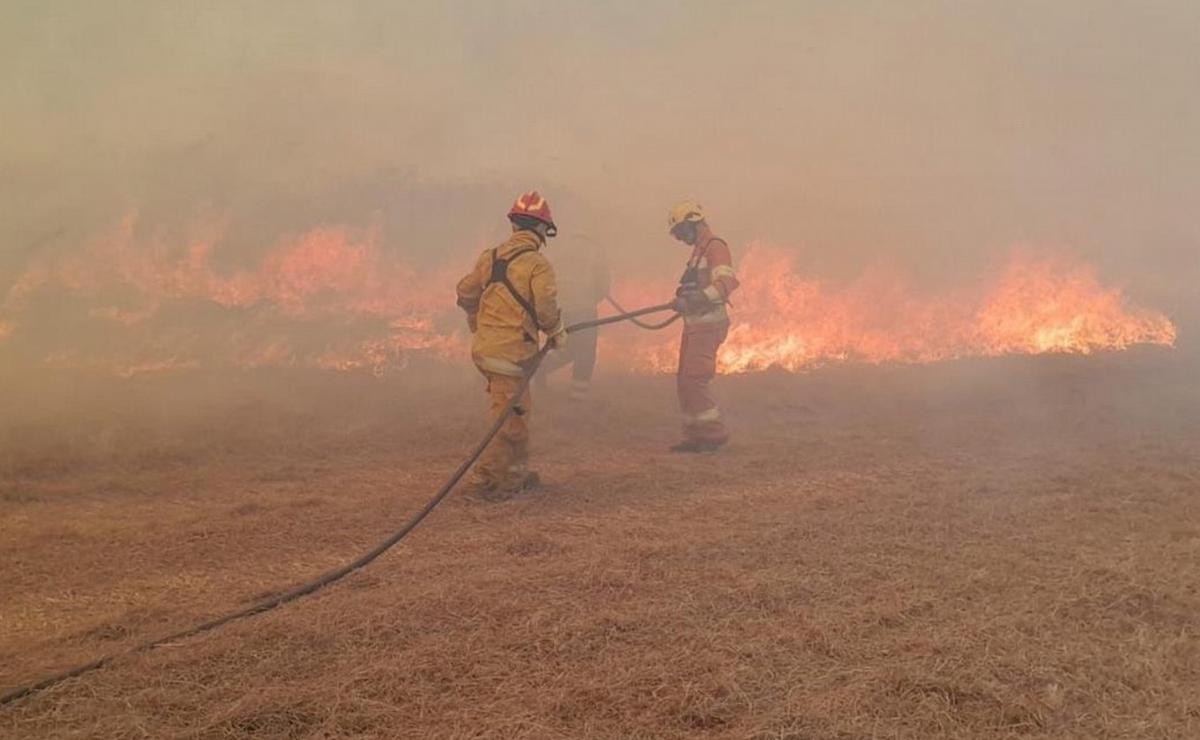 Le dieron el alta a dos bomberos afectados en el incendio de La Mezquita | Córdoba