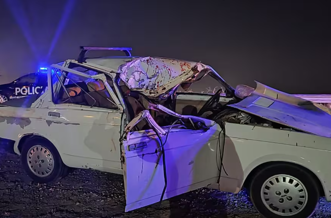 Chocaron con caballos sueltos en la ruta: murió una nena de 4 años | Actualidad