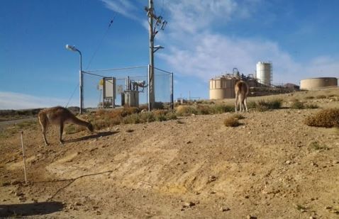 Pan American Silver cierra la mina de oro y plata en Santa Cruz: "El impacto para la localidad es algo tremendo" | Política y economía