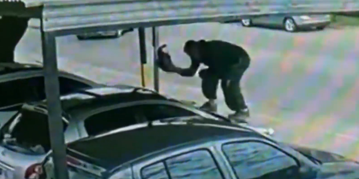 Video: por una venganza, rompió los autos en venta | VIDEOS TFN CORDOBA