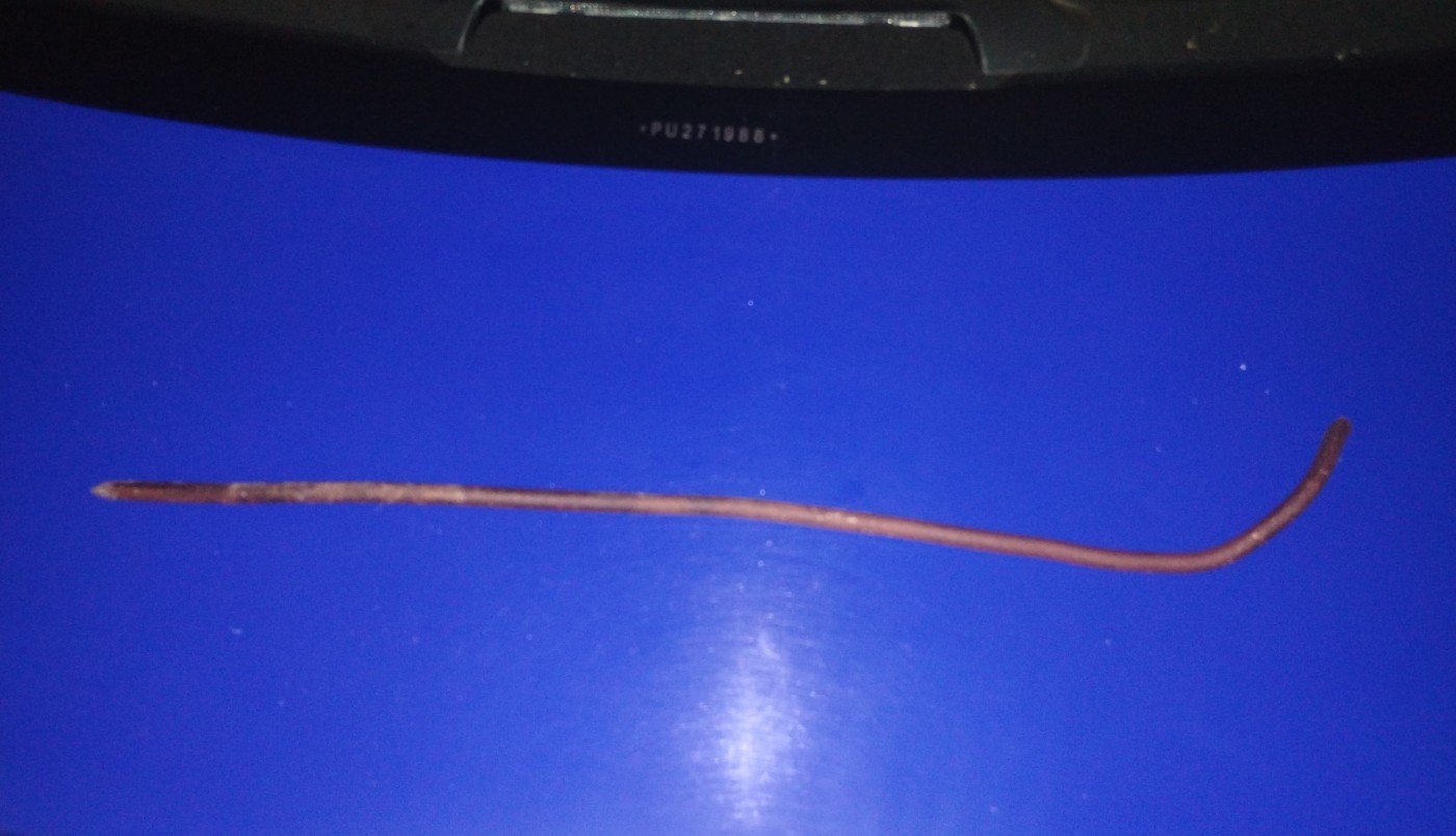 Detuvieron a un naranjita que agredió a un policía durante un control | Córdoba