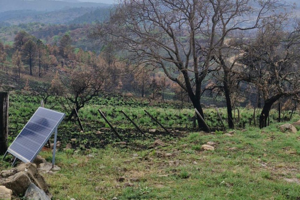Las localidades afectadas por los incendios avanzan para construir Centros Comerciales a Cielo abierto | Córdoba