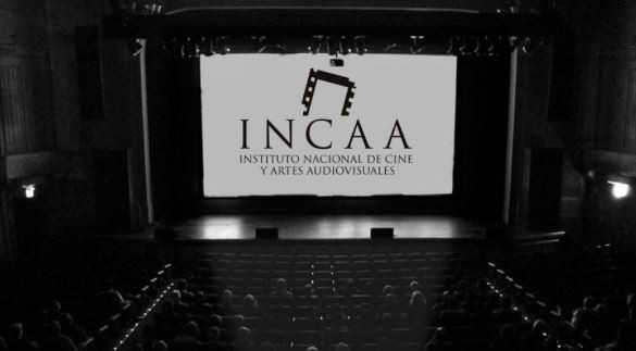“Calidad, audiencia y eficiencia”, los nuevos parámetros del INCAA para hacer cine | Espectáculos