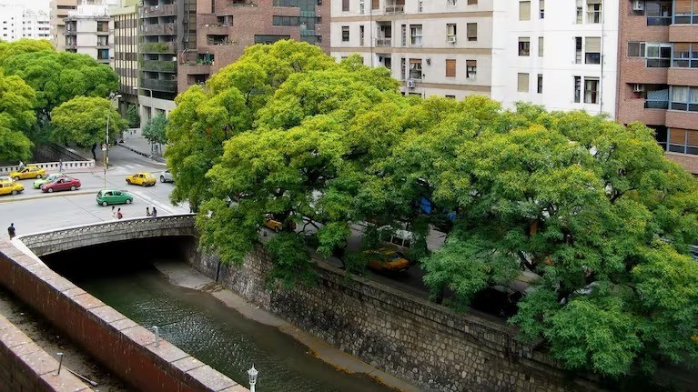 Tiempo en Córdoba: jueves nublado con mucha humedad en la ciudad | Córdoba