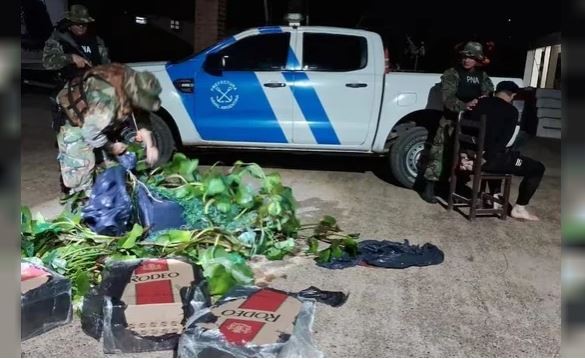 Chaco: se disfrazó de camalote para contrabandear 200 paquetes de cigarrillos | Actualidad