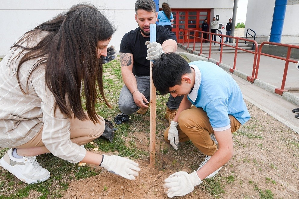 Más de 60 árboles autóctonos fueron plantados en la Escuela ProA Norte | Córdoba