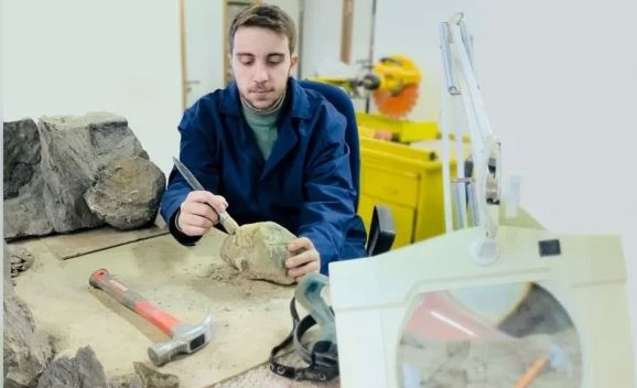 Estudian un reptil marino de gran tamaño hallado en el norte neuquino | Actualidad