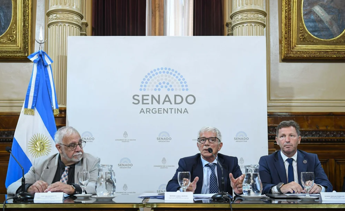 Cúneo Libarona: "Se creó una concepción hipócrita de que la mujer no miente" | Política y economía